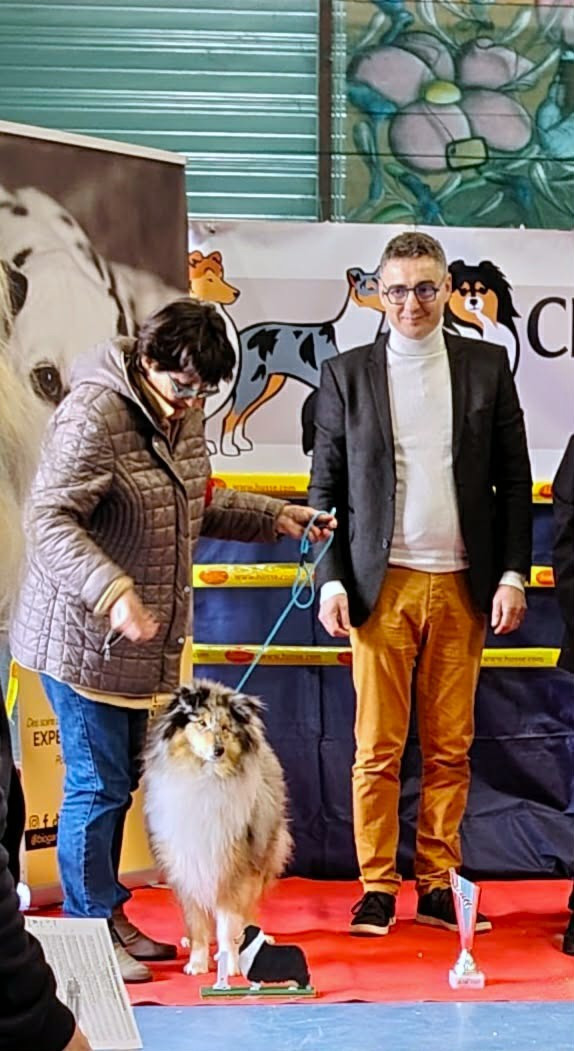 AWANA au top : REGIONALE D'ELEVAGE de VARZY et NDS LIMOGES