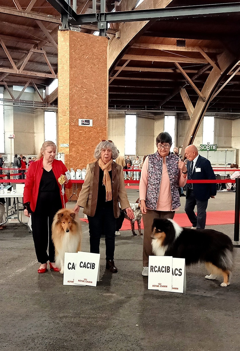 IDS POITIERS 17.10.26